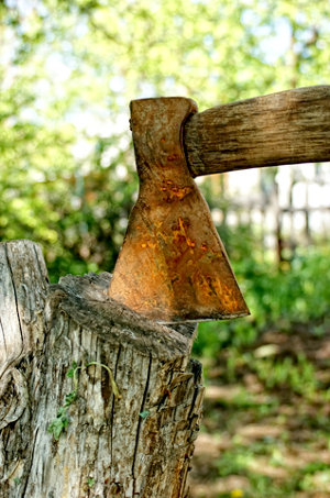 Ax splitting wood