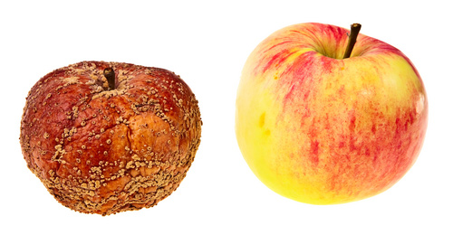 A rotten apple next to a fresh apple